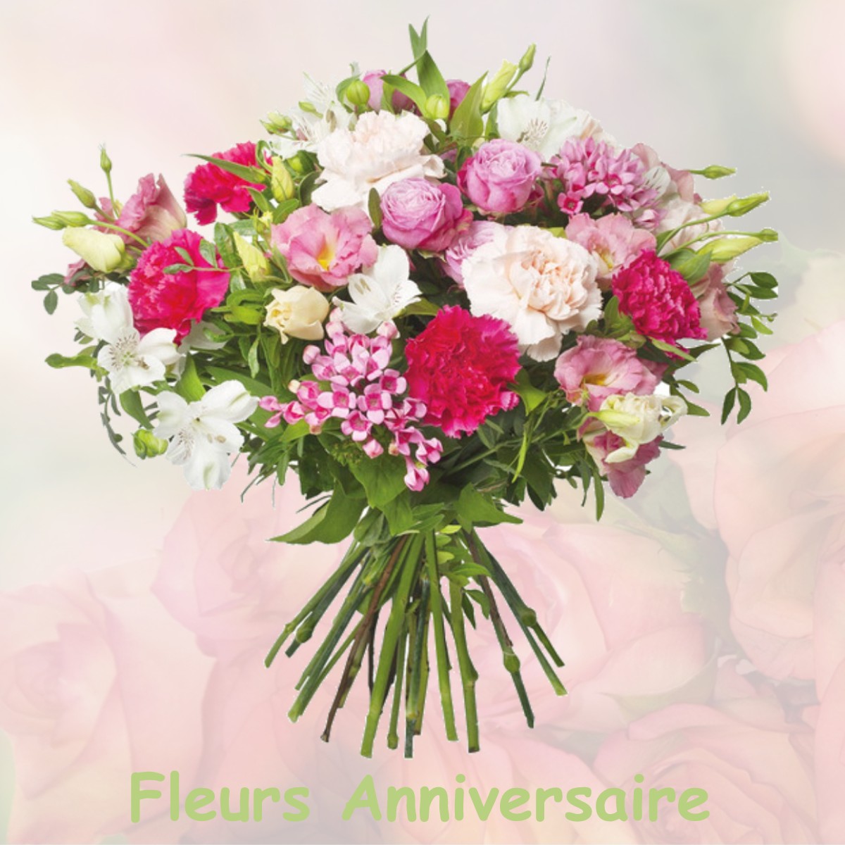 fleurs anniversaire BELLEVILLE-SUR-LOIRE